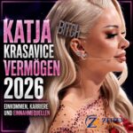 Katja Krasavice Vermögen